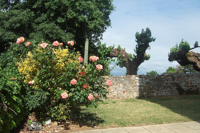 2011-05- (661).JPG